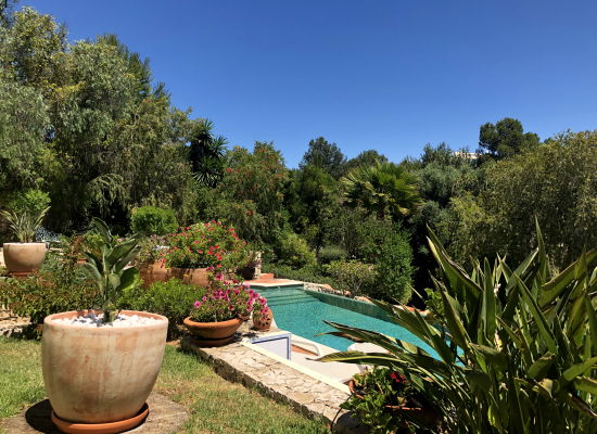 Casa Palmeira, Algarve, Portugal Swimming Pool